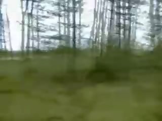 Білявка краля в в ліс
