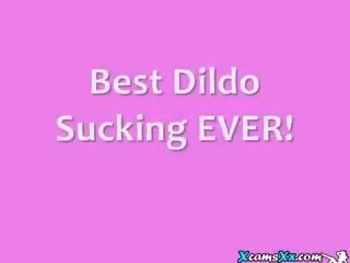 Best Dildo Sucking Webcam Shows EVER