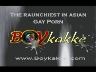 Homosexuell asiatisch schnuckel saugt zwei hähne