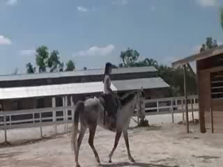 Schnecke aus thailand reiten ein pferd