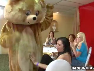 It&#039;s tiempo a celebrate y fiesta con la infamous bailando osos! (db9822)
