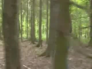 Avantura udarec delo v na gozd