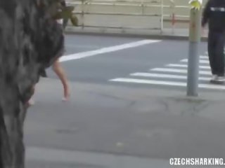 捷克語 業餘 女孩 sharked 上 該 街道