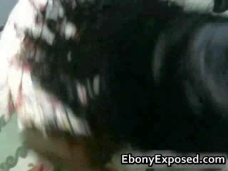 חופשי וידאו של כלבות ברכיבה ו - מזיין א זין