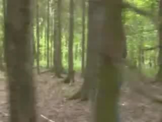 Aventuras golpe trabajo en la bosque